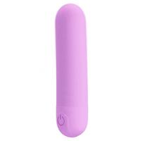 Censan Stefan Mini Massager Bullet Vibratör Mor